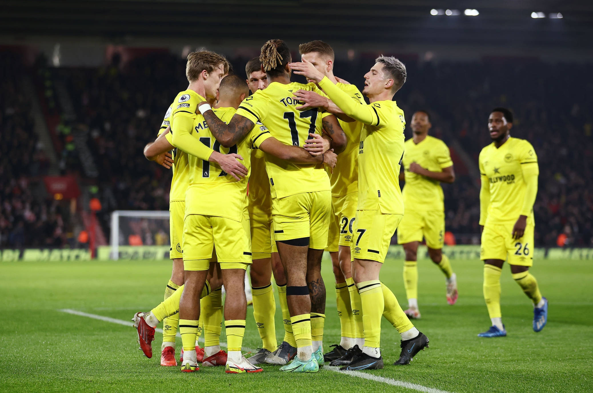 术全面的年 术全面的年